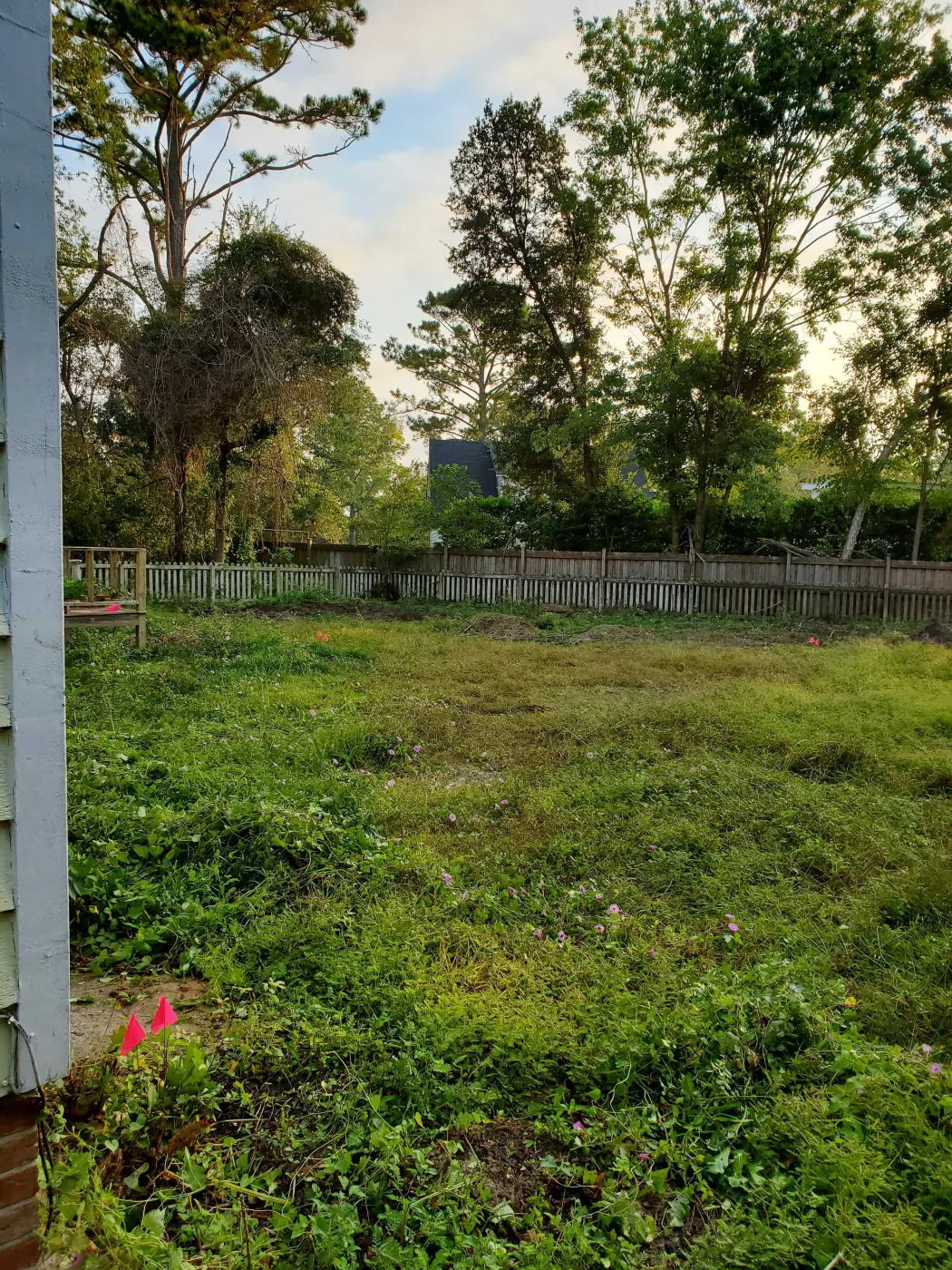 Overgrown field cut back by bush hogging on a property in Pender County, North Carolina