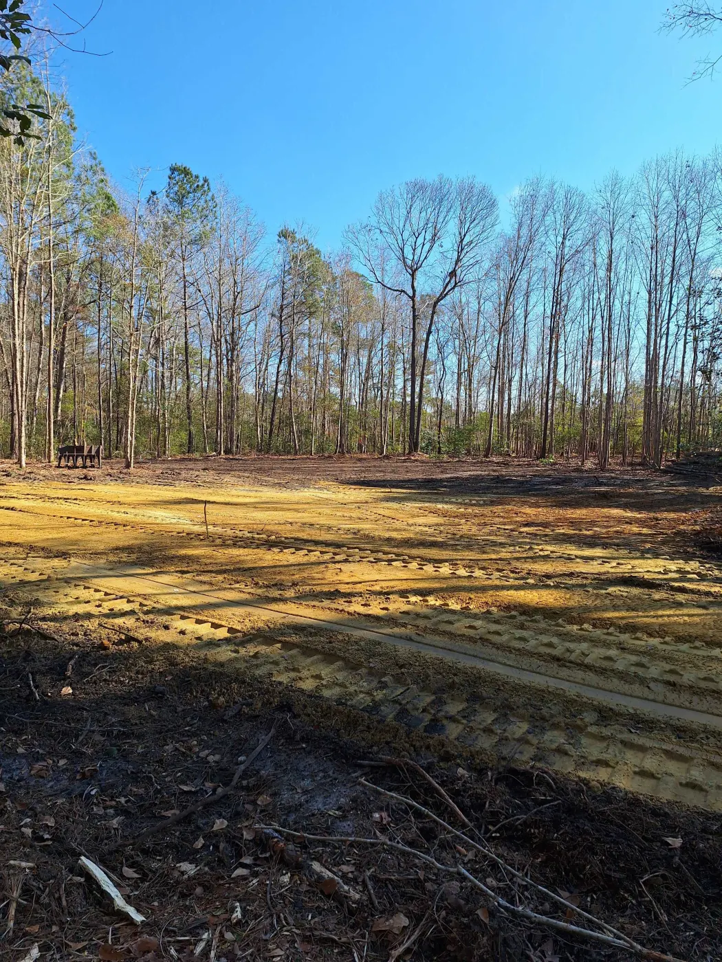 Stump Grinding in Burgaw, NC