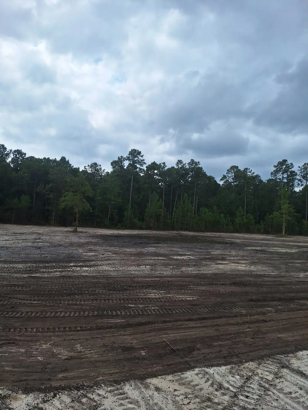 Land Clearing & Dirt Work in Southport, NC