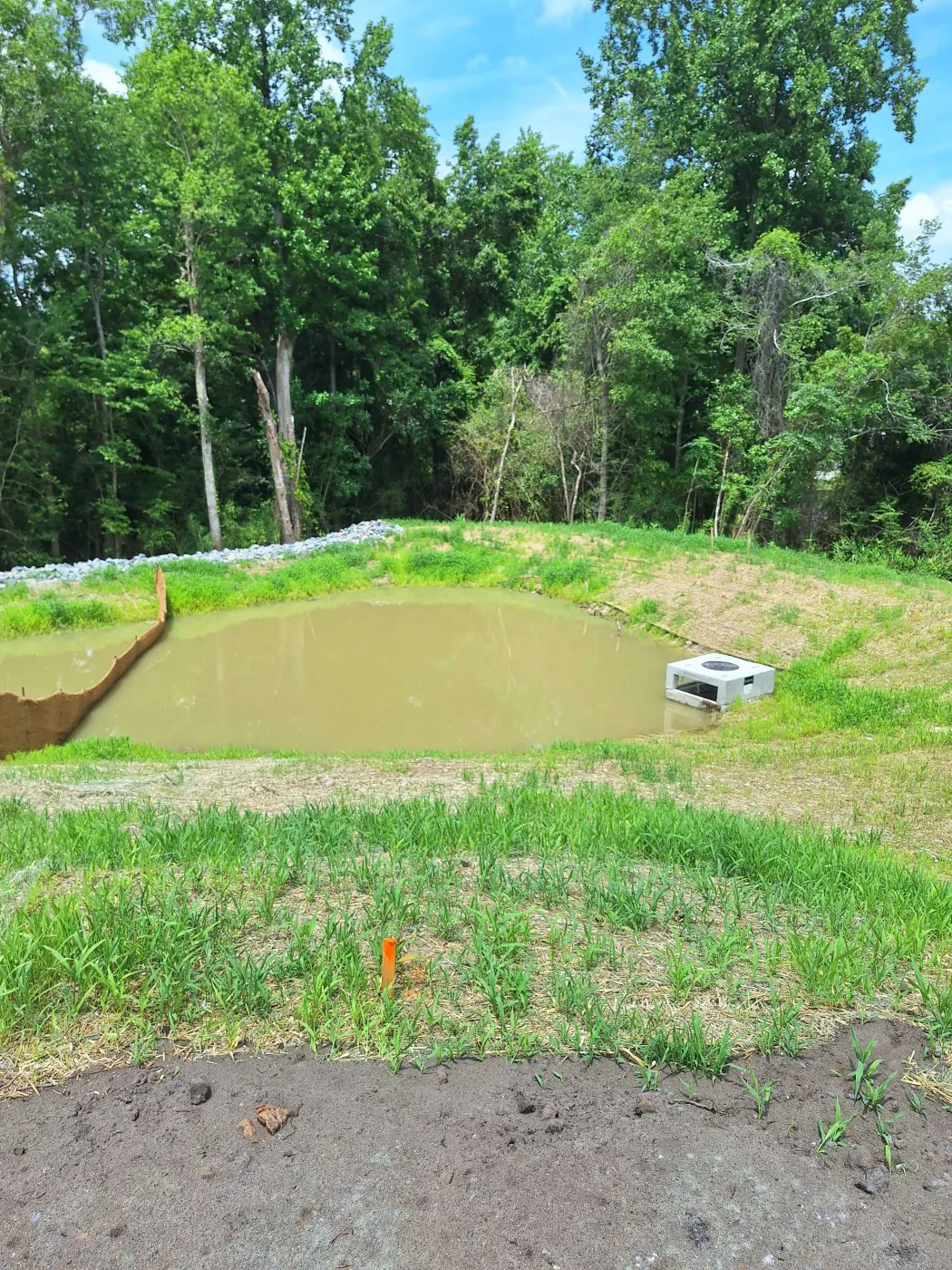 Finished pond with shaped banks holding water