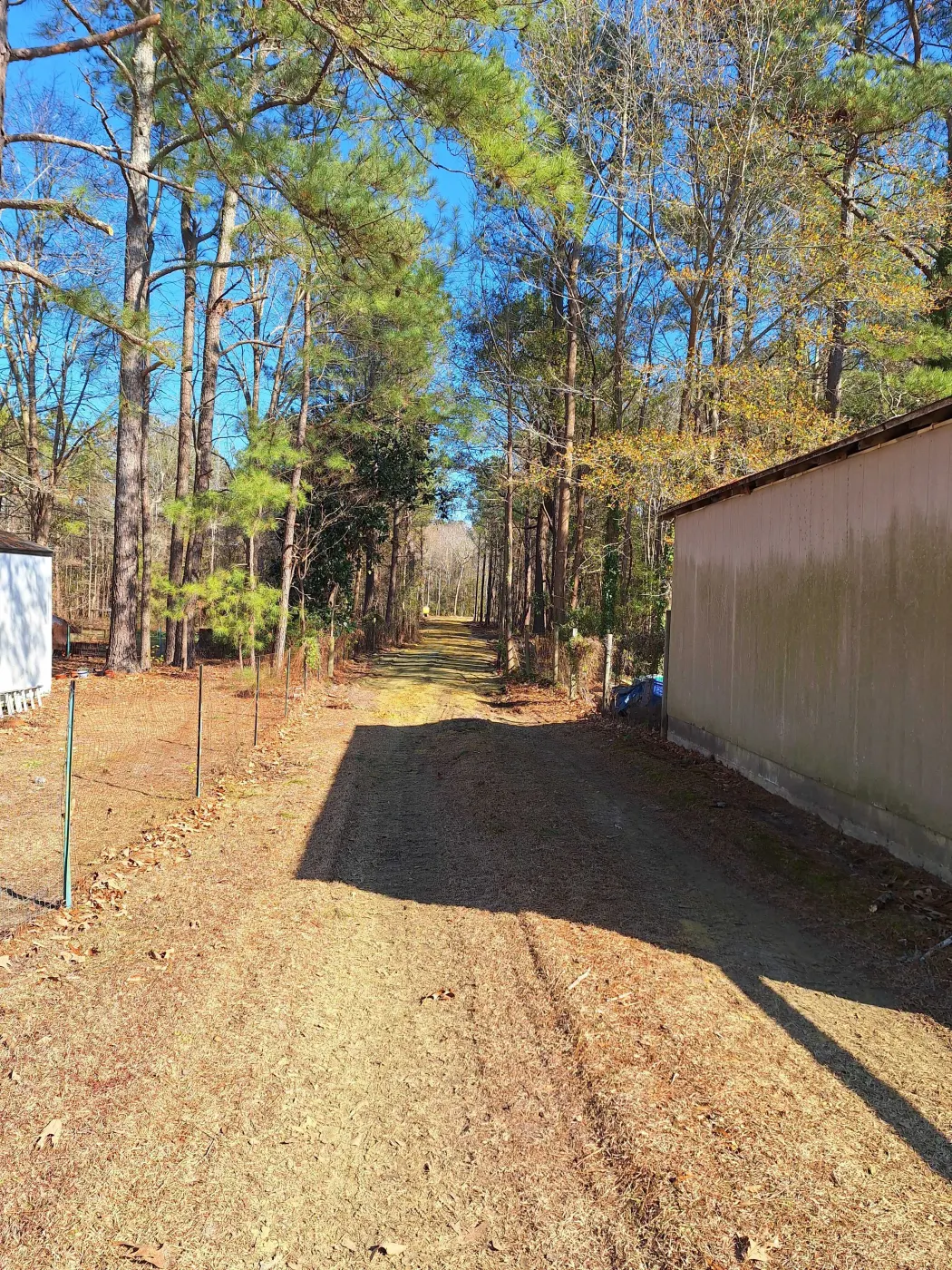 Forestry Mulching in Burgaw, NC