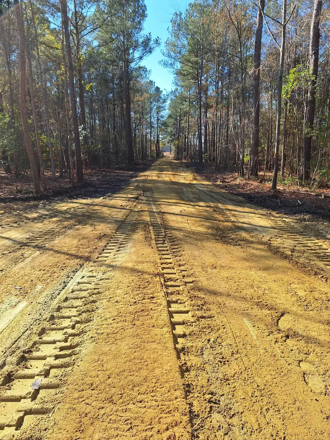 Best gravel for a driveway in North Carolina starts with the base: a freshly graded sandy lane cut through pines, ready for a packed ABC stone layer