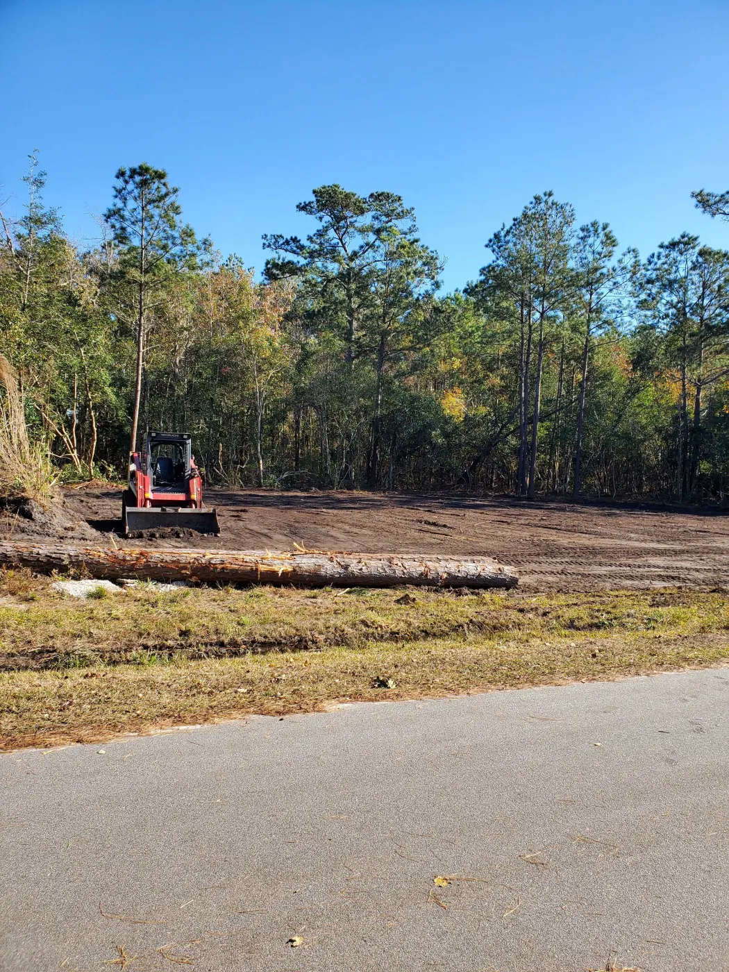 Land clearing in progress at the tree line on a Pender County lot