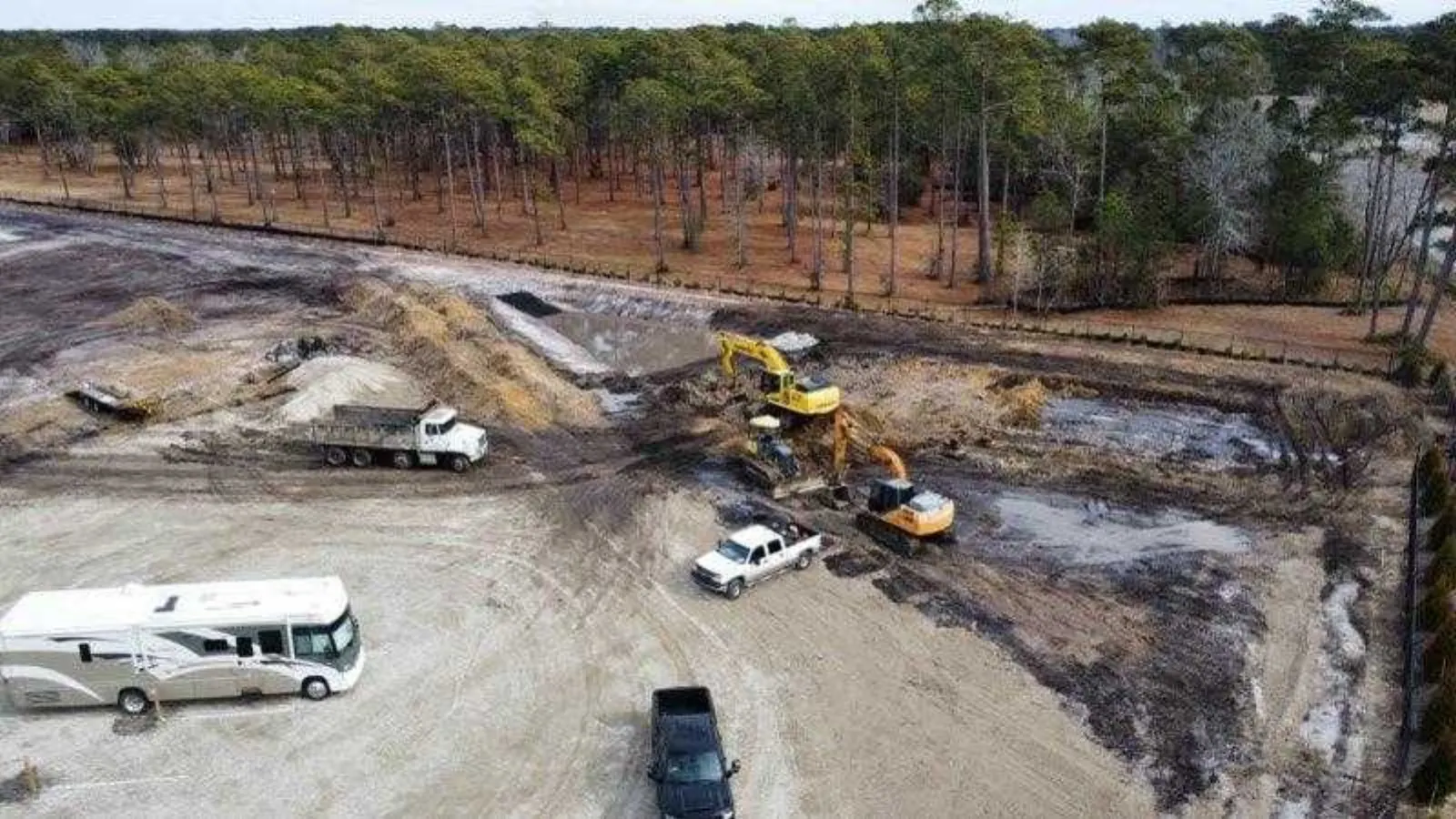 Tracked skid steer clearing brush and small pines on a wooded lot in Pender County North Carolina